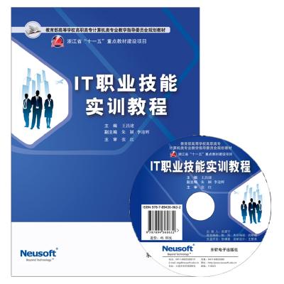 IT职业技能实训教程